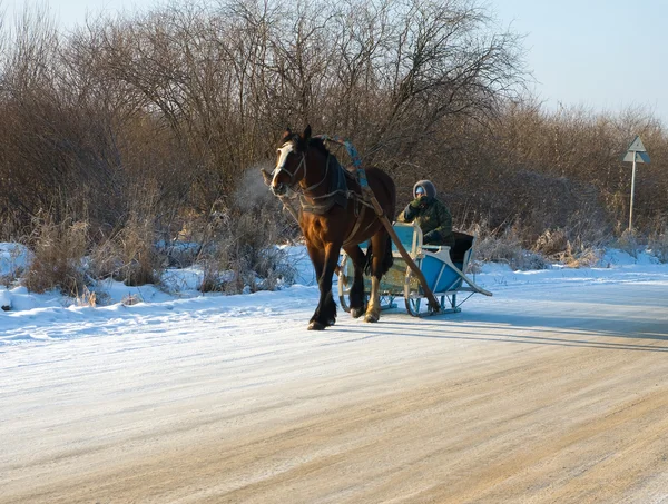 Horse sleigh — Stock Photo, Image