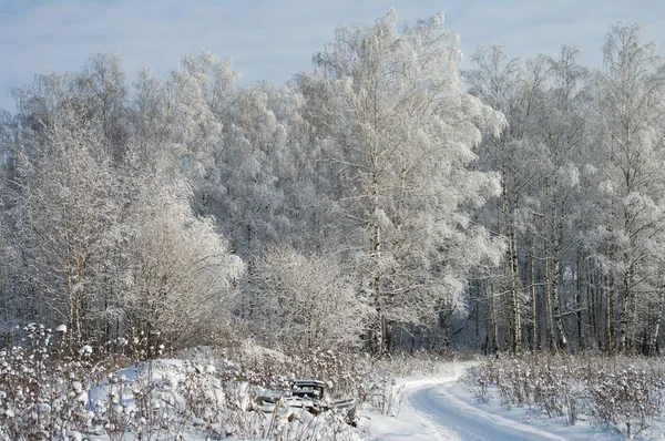 Road in the winter forest — Stock Photo, Image