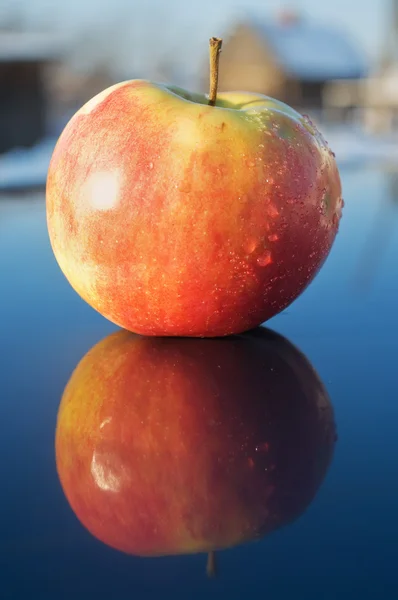 Äpple Stockbild