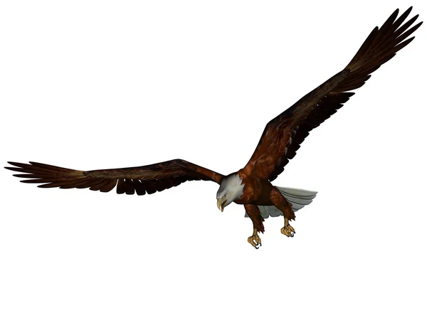 Eagle — Stock Photo, Image