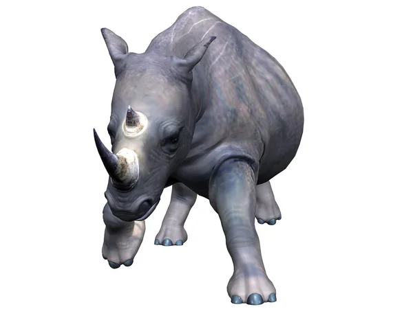 Charging rhinoceros — Stock Photo, Image