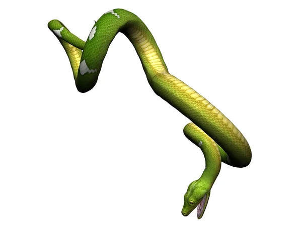 Zielony Pythona — Zdjęcie stockowe