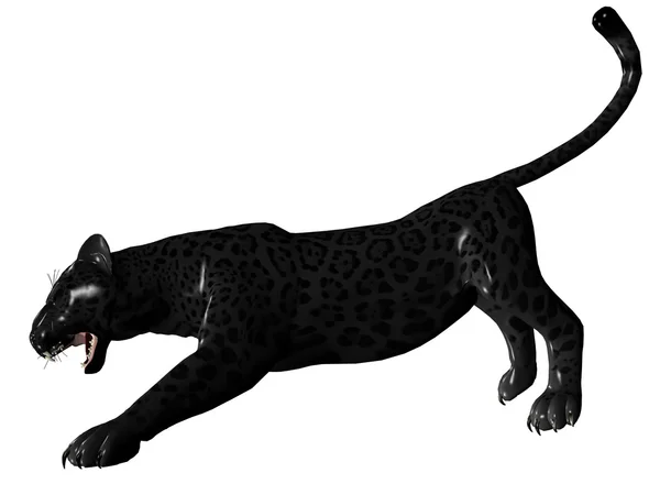 Agressive black panther — Stock Photo, Image