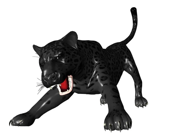 Агрессивный вид черной пантеры спереди — стоковое фото