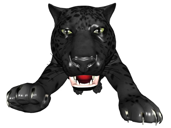 Атакующая чёрная пантера — стоковое фото