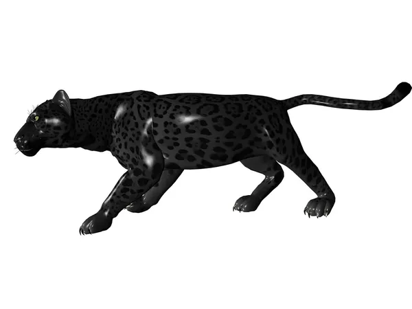 Podkradanie się pod zwierza czarna Pantera — Zdjęcie stockowe