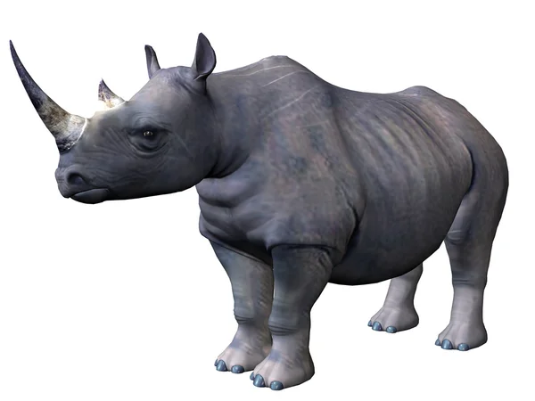 Зарядки носоріг — стокове фото
