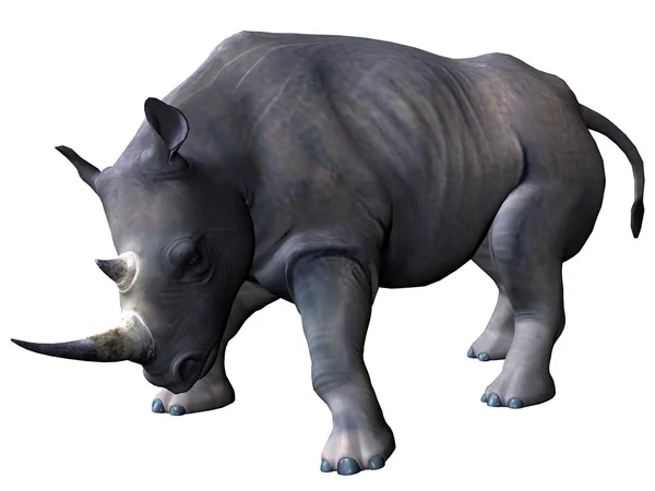 Ładowanie nosorożec — Zdjęcie stockowe