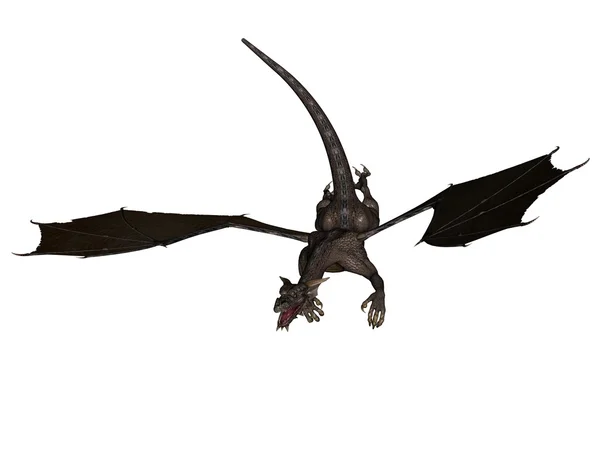 Dragón volador —  Fotos de Stock