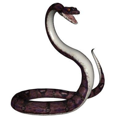 Snake clipart