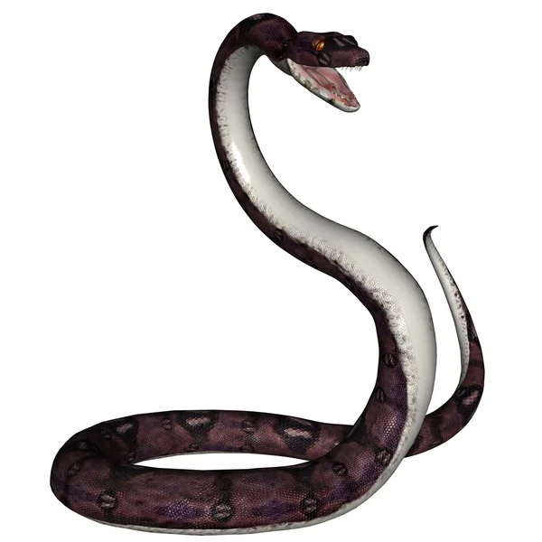 Serpent — Photo