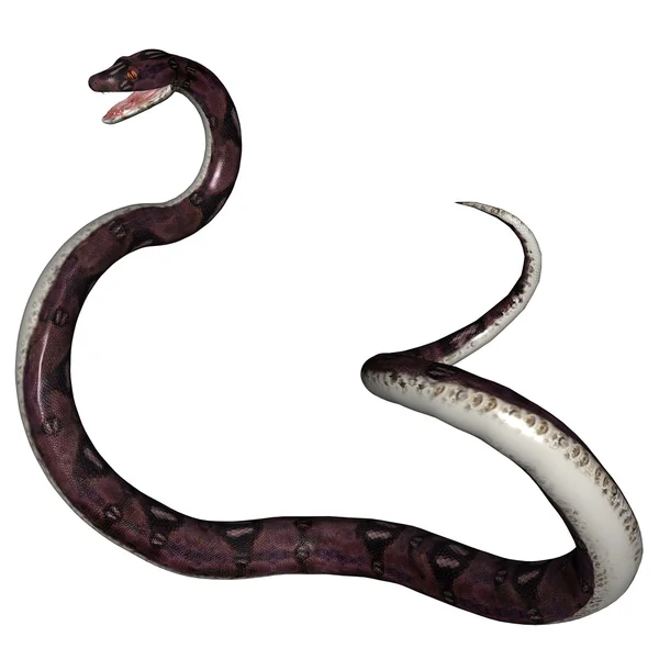 Змея — стоковое фото