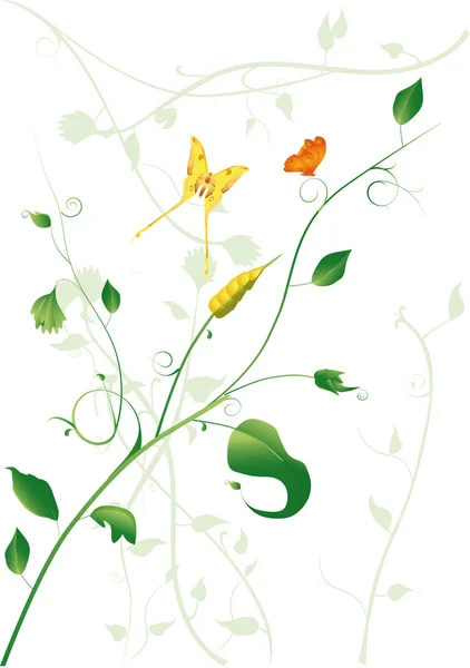 Leaves and butterflies — Stock Vector