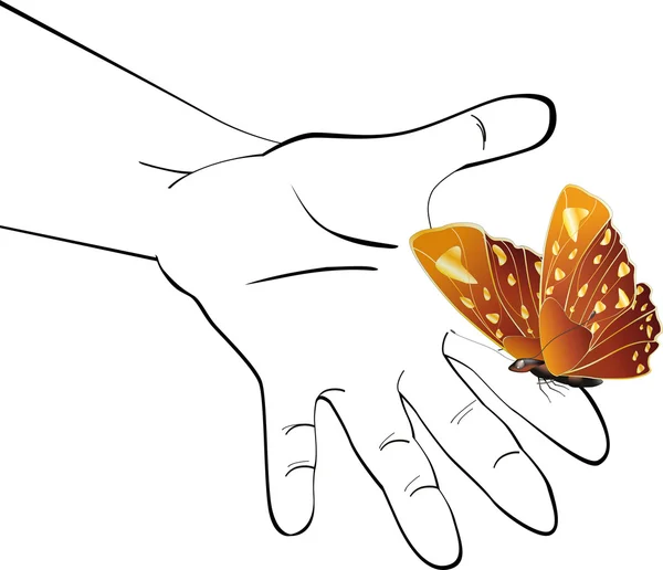 Hand and the butterfly — Stock Vector