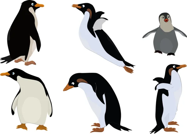 Grupo de pinguins — Vetor de Stock