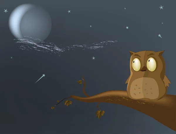 フクロウの月 — ストックベクタ