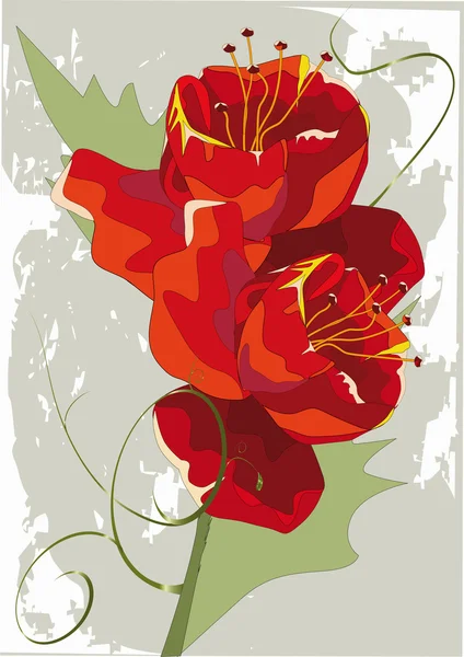 Coquelicots rouges abstraits — Image vectorielle