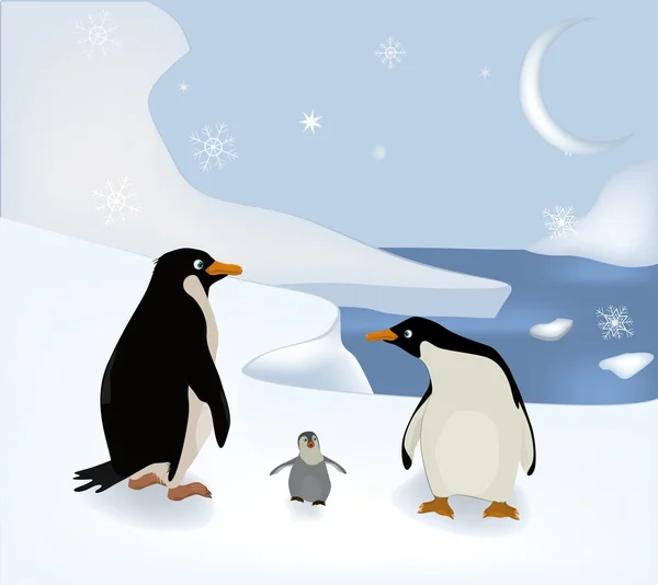 Família de pinguins — Vetor de Stock