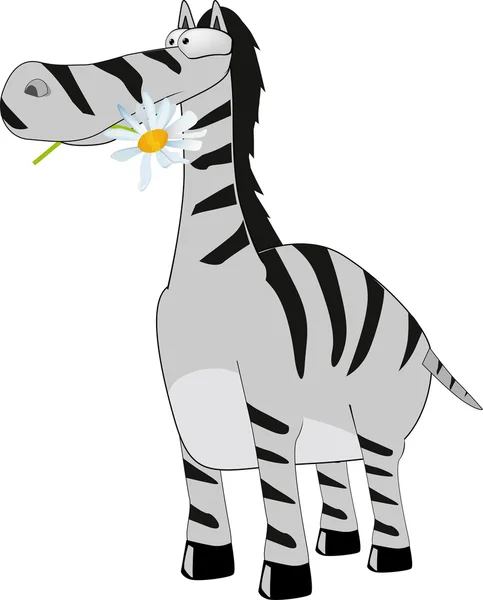 Zebra och en kamomill — Stock vektor