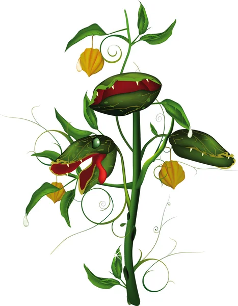 Bardzo głodny drapieżnych kwiat — Wektor stockowy