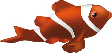 Tropical fish the clown clipart