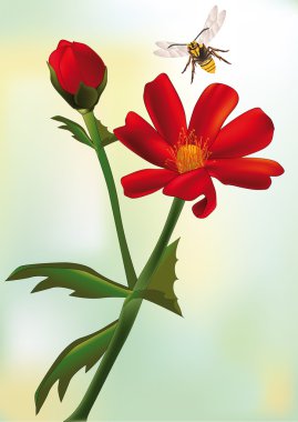 Red field flower clipart