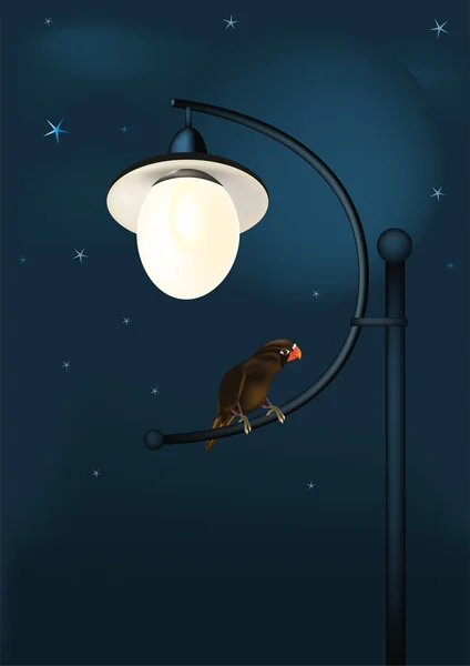 Fantastic parrot at night — Stock Vector