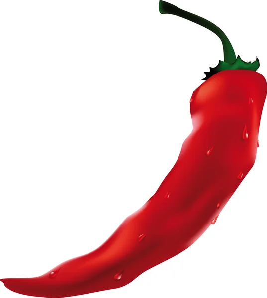 Röd Chile peppar — Stock vektor