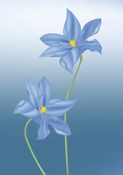 Mörk blå blomma — Stock vektor