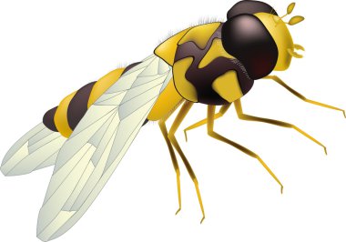 Yellow bee clipart