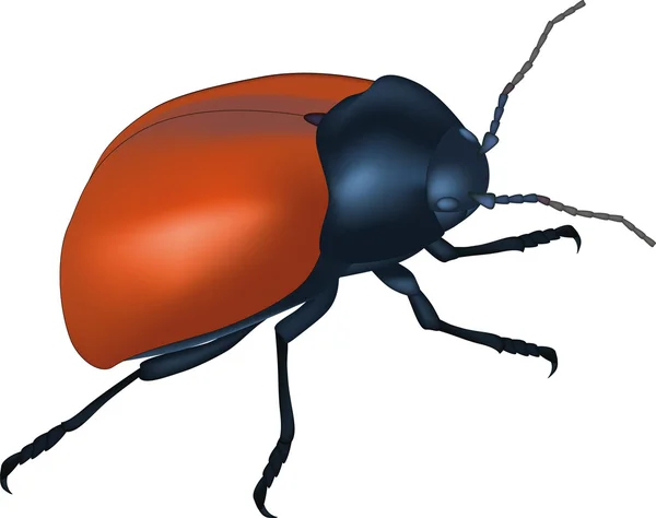 Ξύλο bug — Διανυσματικό Αρχείο