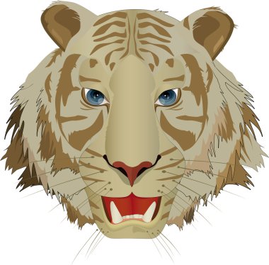 Tiger ile