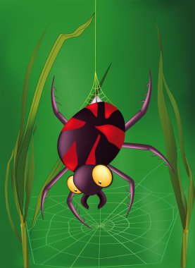 Spider clipart