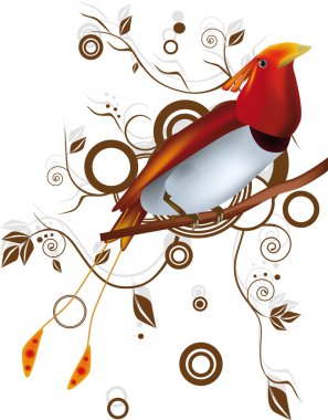 Paradise bird clipart