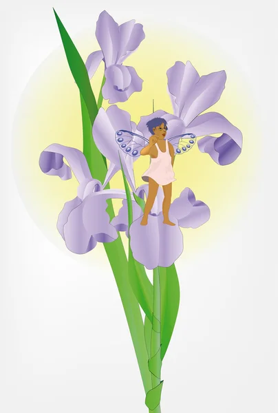Iris y el hada — Archivo Imágenes Vectoriales