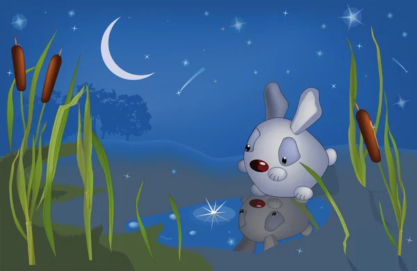 野兔和坠落的星星 — 图库矢量图片