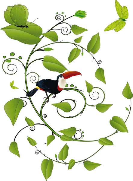 Borboleta tucano pássaro e um ornamento — Vetor de Stock