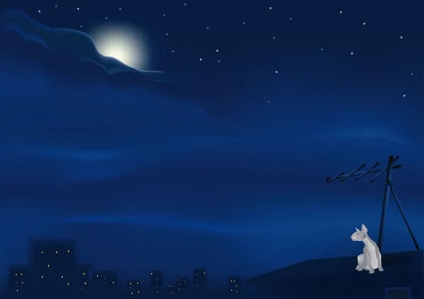 Chat sur un vieux toit la nuit — Image vectorielle
