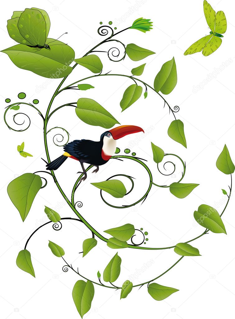Bird toucan butterfly and an ornament