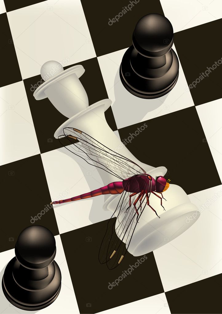 Chess and a dragonfly