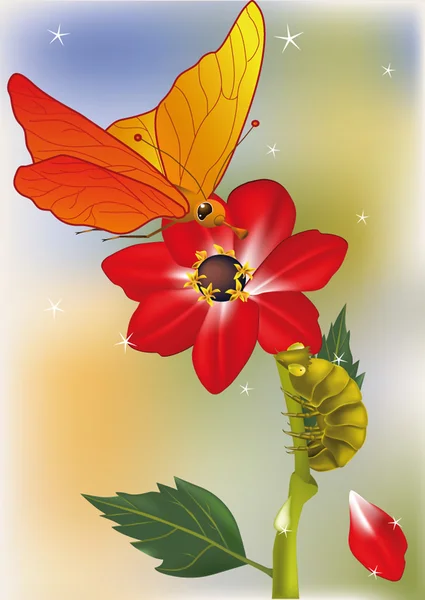 Red flower the butterfly and a caterpill — Stock Vector