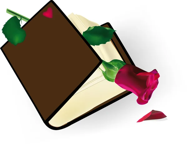 Das alte Buch mit einer Rose — Stockvektor