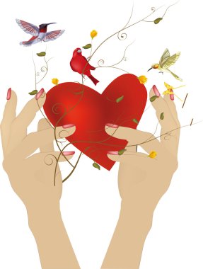 Hands and heart clipart