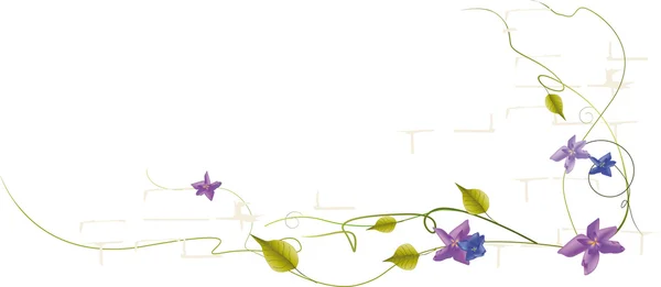 Cartão com um ornamento de flores —  Vetores de Stock