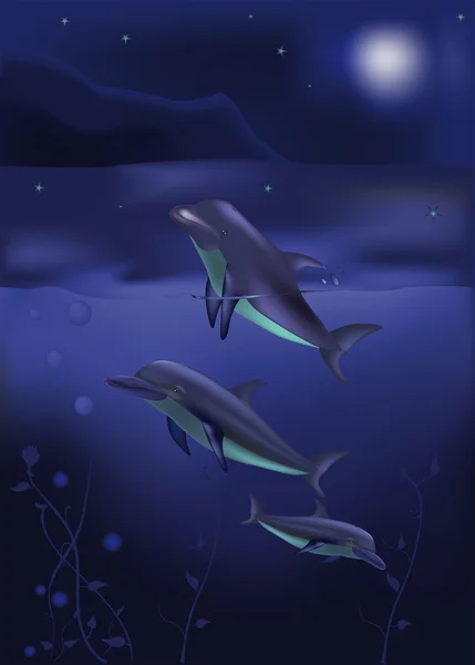 Delfiner och norra havet — Stock vektor