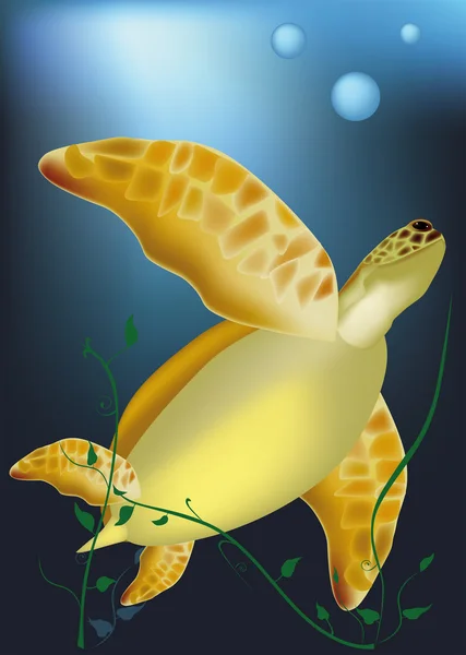Sea turtle at ocean — Stock Vector