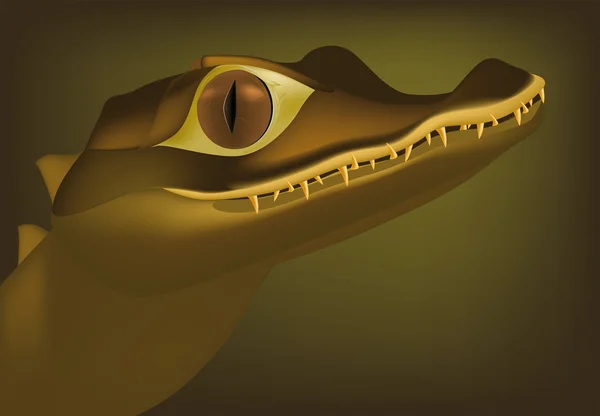 Crocodile très gentil — Image vectorielle