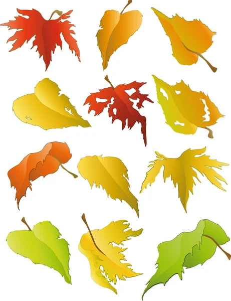 Осенние листья — стоковый вектор
