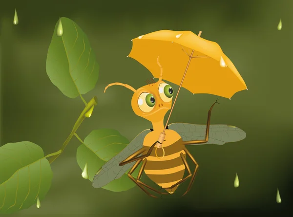 Bee och en raine — Stock vektor