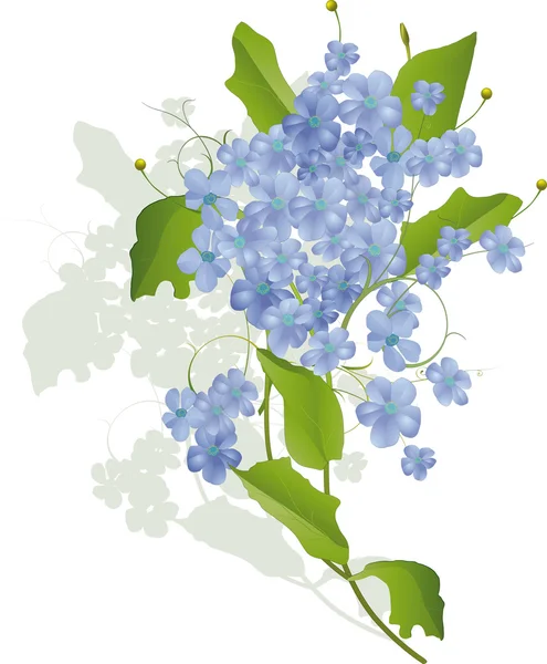 野花的花束 — 图库矢量图片